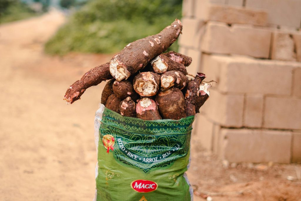 A sack of freshly harvested cassava roots on a rural dirt path, ready for market.