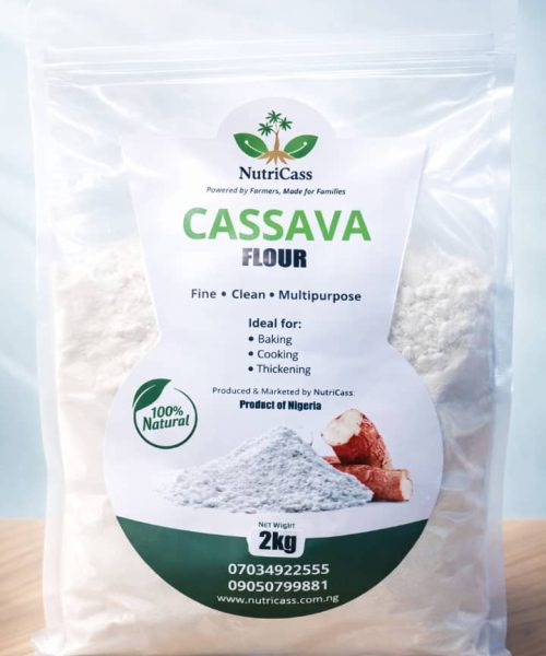 whatsapp image 2026 03 27 at 8.29.43 pm