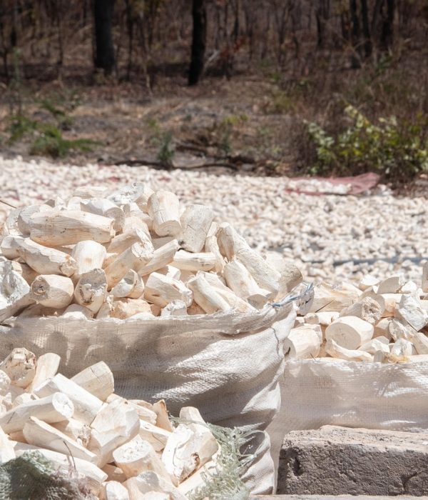 cassava, dried, farming, crops, agricultural, mansa, zambia, luapula, province, cassava, cassava, zambia, zambia, zambia, zambia, zambia